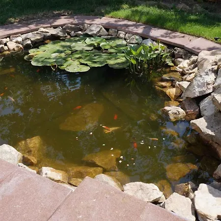 - Balaton 30360 Appartement