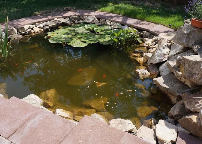 - Balaton 30360 Appartement